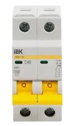 Автоматический выключатель IEK ВА47-29 2P С40 MVA20-2-040-C