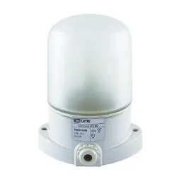 Светильник TDM НПБ400 для сауны настенно-потолочный белый IP54 60Вт белый SQ0303-0048