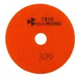 Диск алмазный Trio-Diamond АГШК шлифовальный ЧЕРЕПАШКА 100мм №300 (M) 340300