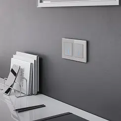 Рамка на 2 поста Werkel дымчатый,стекло  WL01-Frame-02