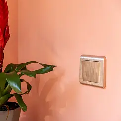 Выключатель одноклавишный проходной шампань рифленый WERKEL WL10-SW-1G-2W