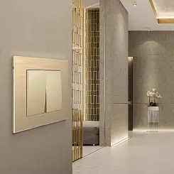 Рамка на 1 пост Aluminium шампань WERKEL W0011711