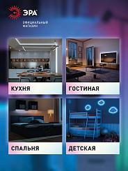 Блок питания ЭРА LP-LED 250W-IP20-12V-S Б0061127