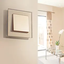 Выключатель одноклавишный шампань WERKEL WL11-SW-1G