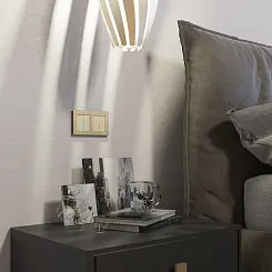 Сенсорный выключатель двухклавишный с функцией Wi-Fi шампань WERKEL W4520611