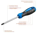 Отвертка ЗУБР Профессионал TX30x100 25234-30