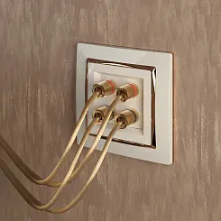 Рамка на 1 пост Werkel слоновая кость/золото  WL03-Frame-01-ivory-GD