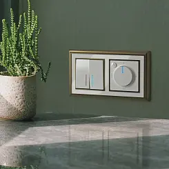 Рамка на 2 поста Werkel бронза/белый  WL17-Frame-02