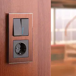 Розетка с заземлением серо-коричневый WERKEL W1171007