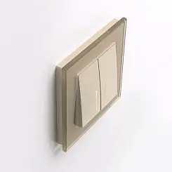 Рамка на 1 пост Werkel шампань  WL01-Frame-01