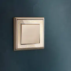 Выключатель одноклавишный проходной Werkel шампань WL11-SW-1G-2W