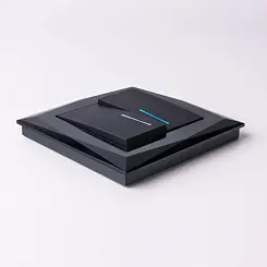 Рамка на 1 пост Werkel черный  WL08-Frame-01